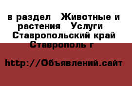  в раздел : Животные и растения » Услуги . Ставропольский край,Ставрополь г.